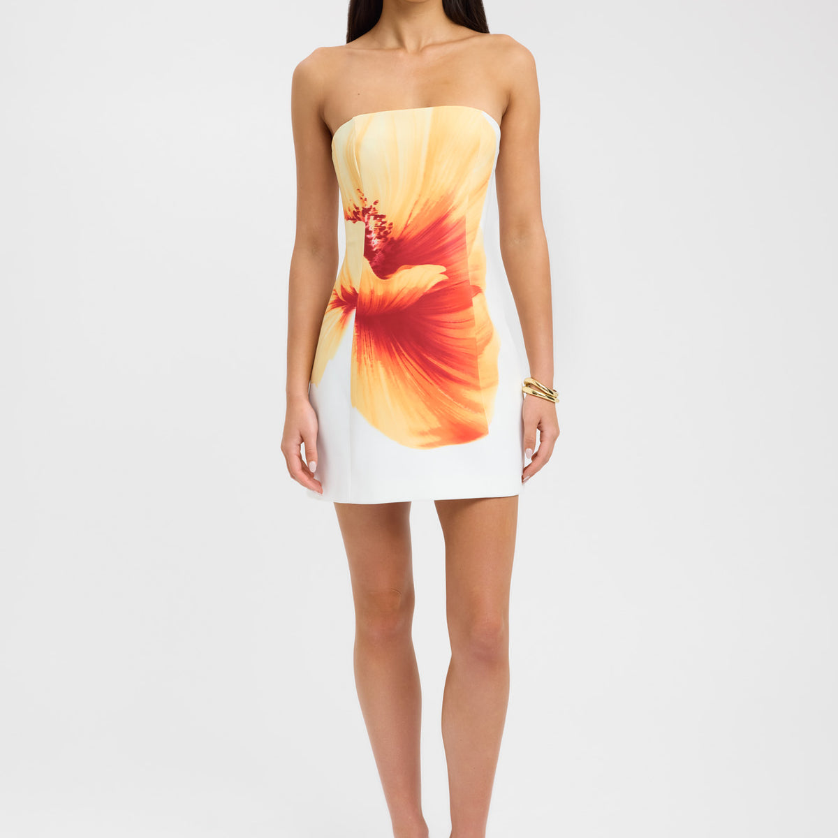 Mila Strapless Mini Dress